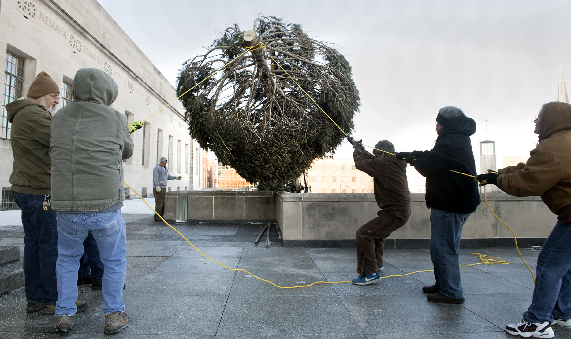 Capitol Christmas tree